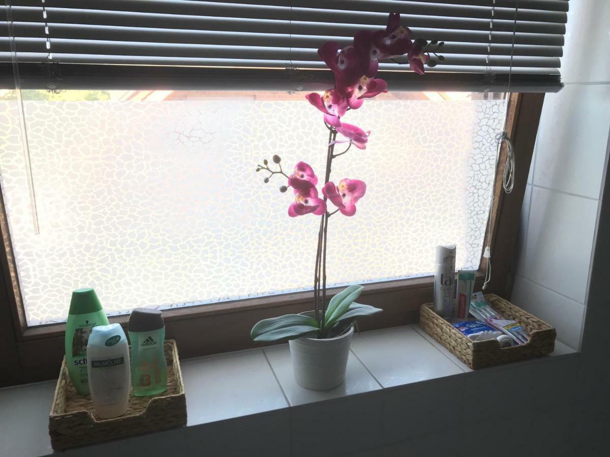 Business Wohnung ++ Hochwertige Ausstattung Paderborn Exteriör bild